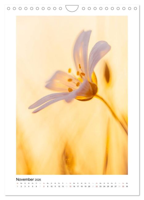 additionalImage3