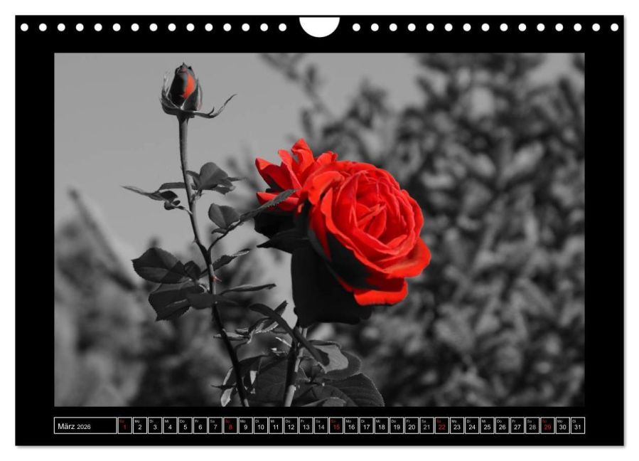 additionalImage8