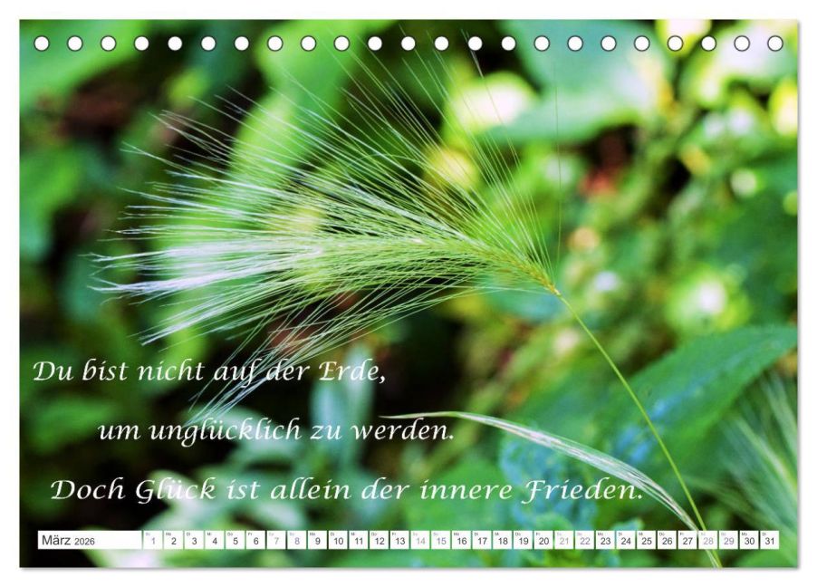 additionalImage8