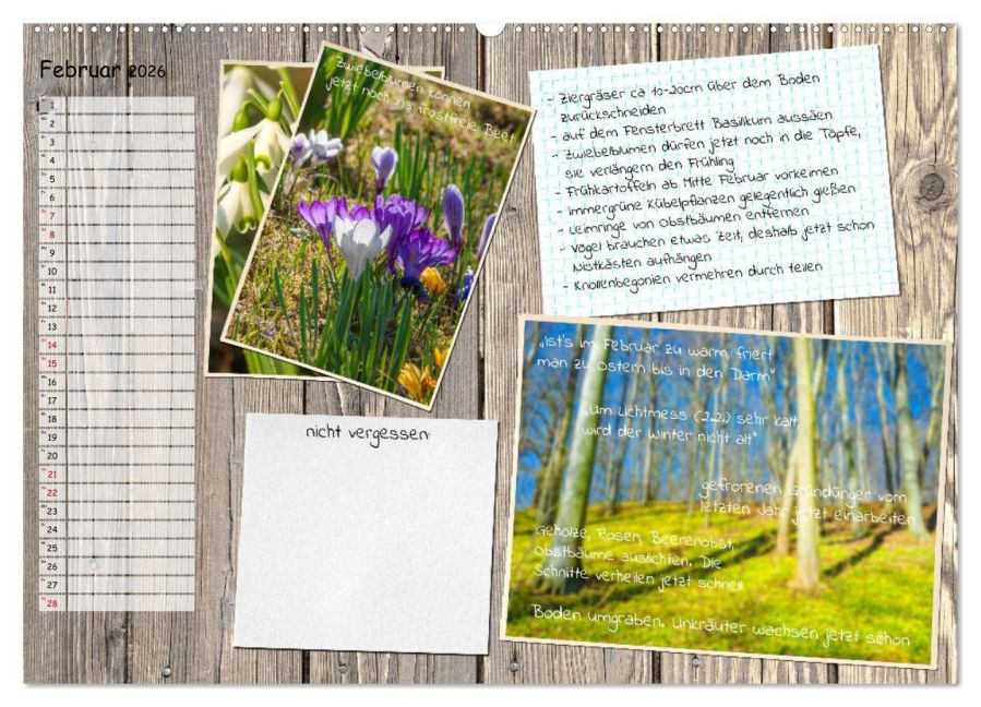additionalImage6