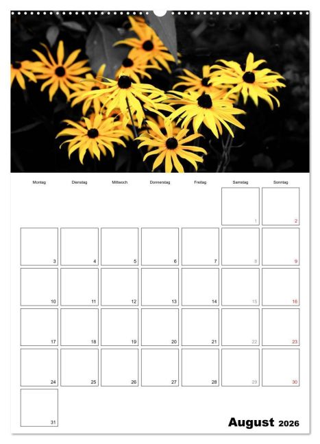 additionalImage13