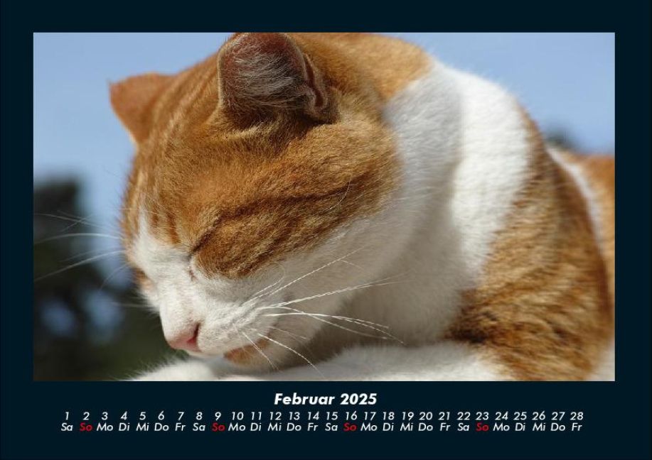 additionalImage6