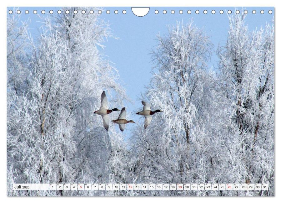 additionalImage12
