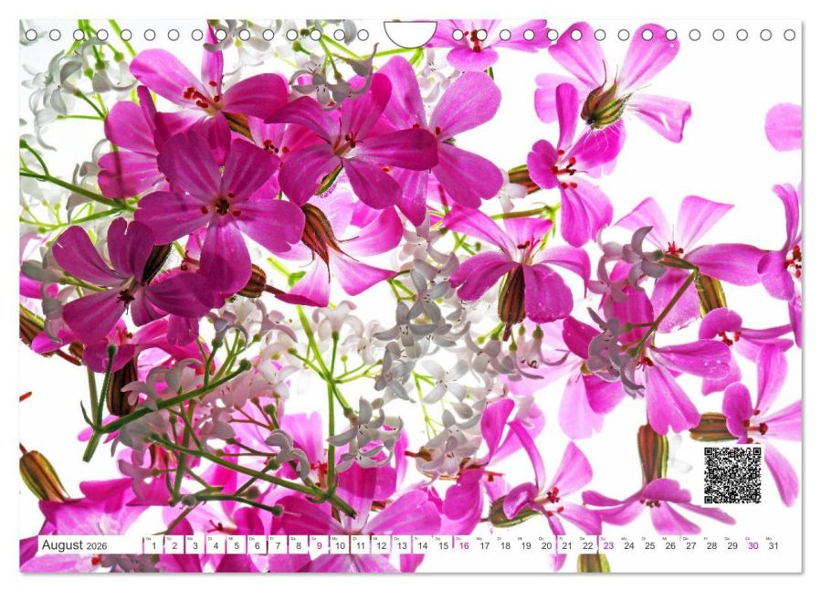additionalImage13