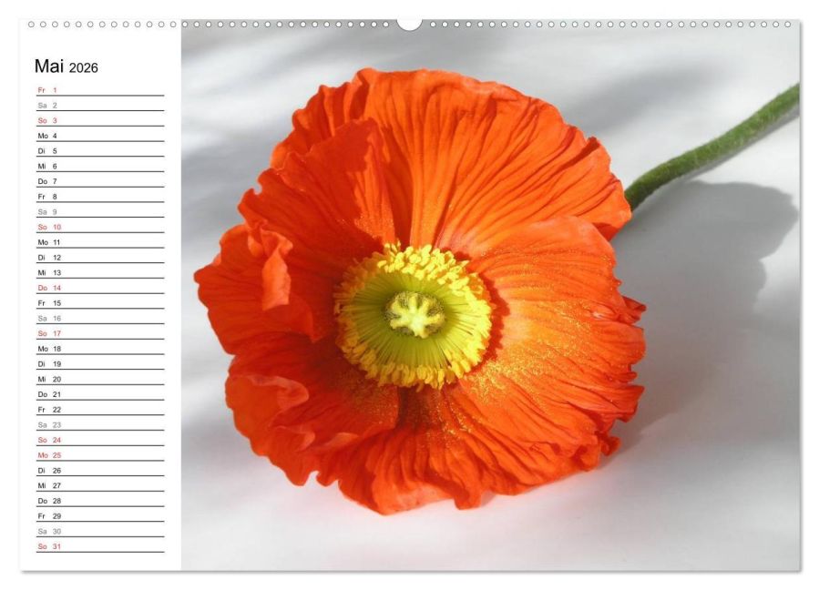 additionalImage10