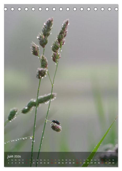 additionalImage11