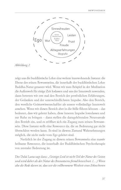 additionalImage8