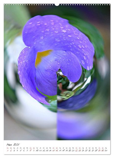 additionalImage7