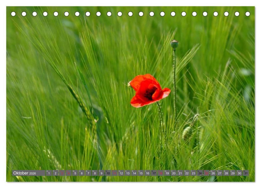 additionalImage2