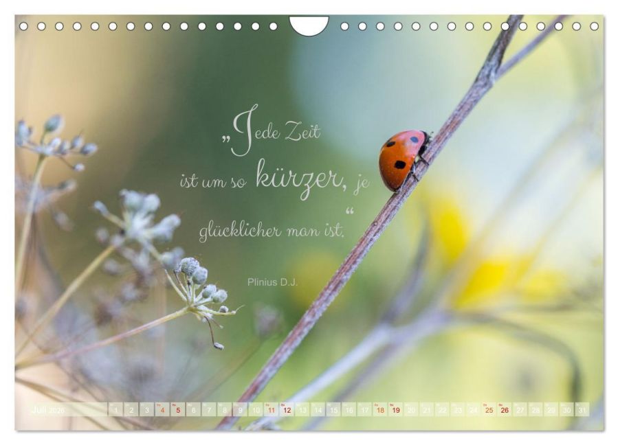 additionalImage12