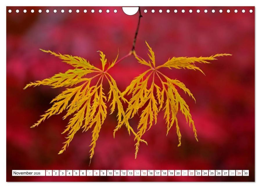 additionalImage3