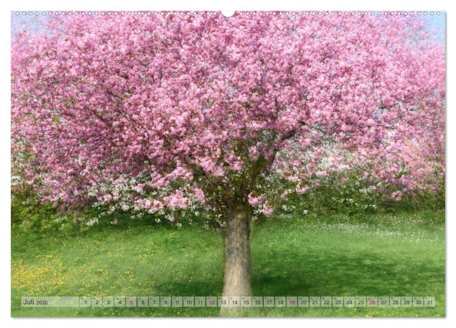 additionalImage11