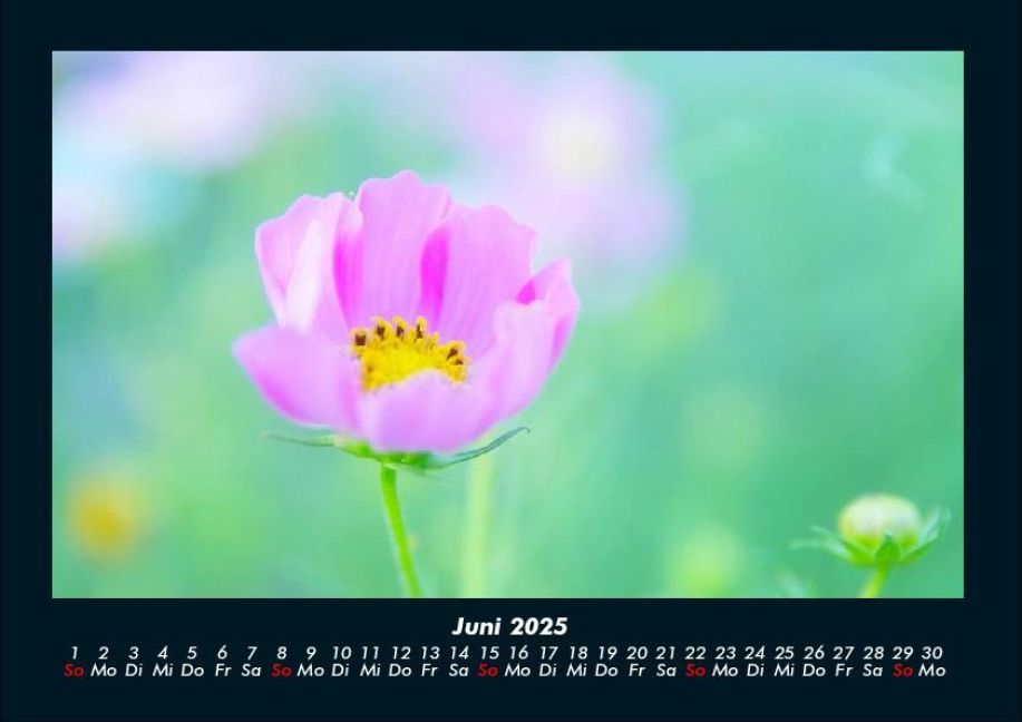 additionalImage10