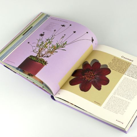 additionalImage6