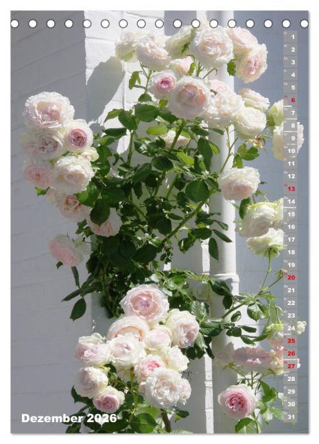 additionalImage4