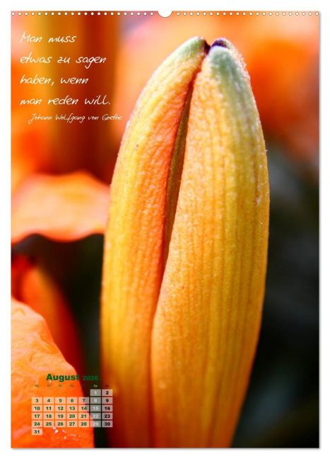 additionalImage12