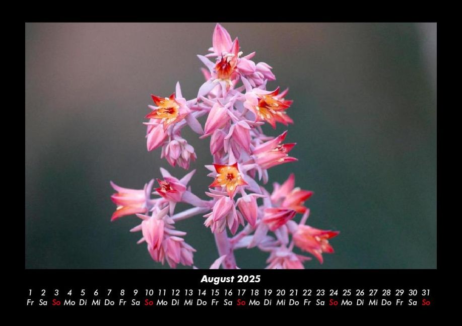 additionalImage12