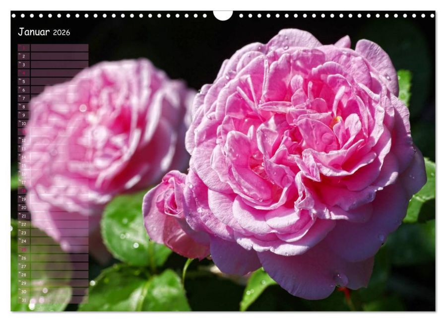 additionalImage6