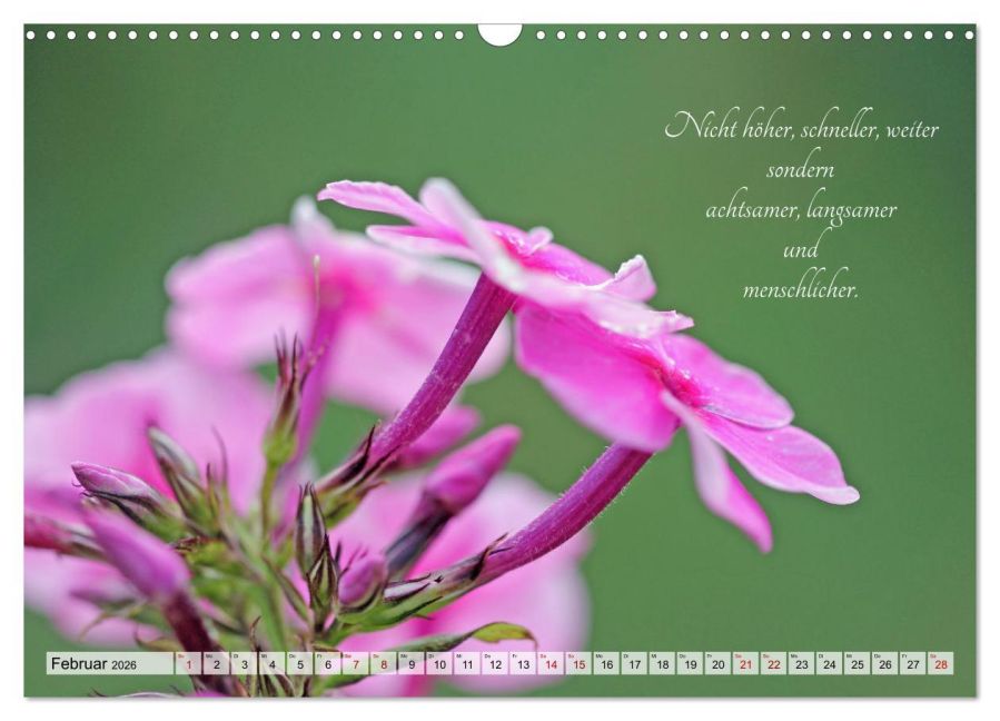 additionalImage7