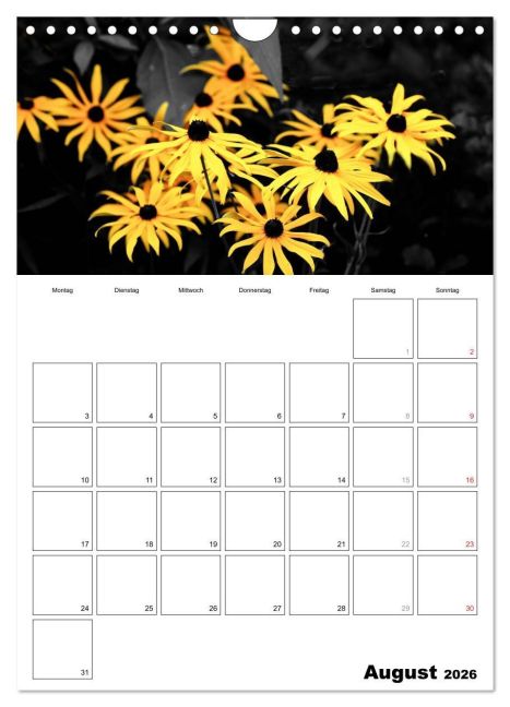 additionalImage13