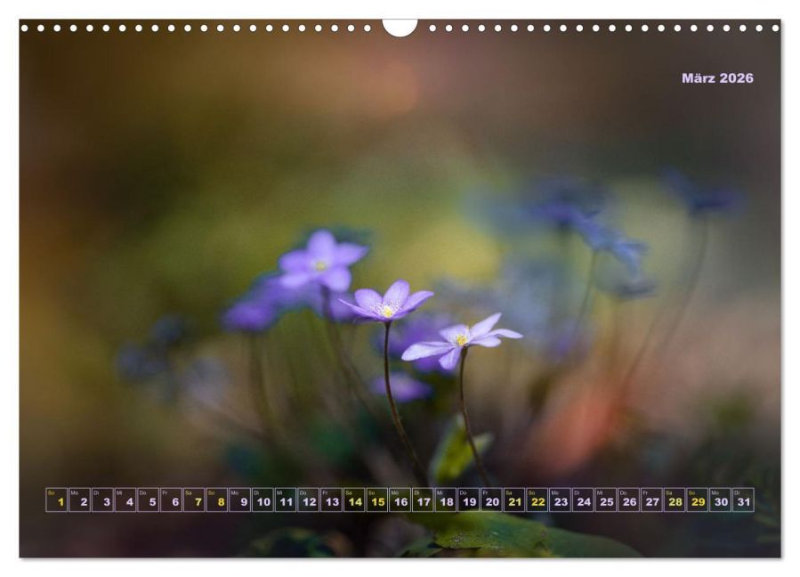 additionalImage8