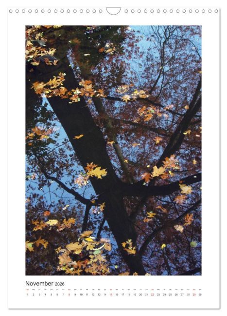 additionalImage3