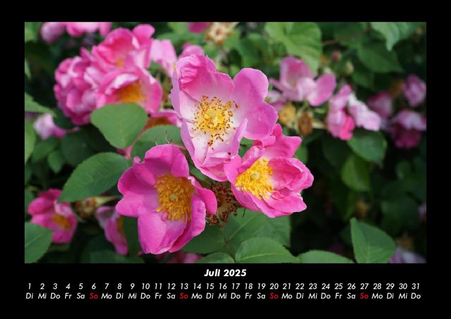 additionalImage11