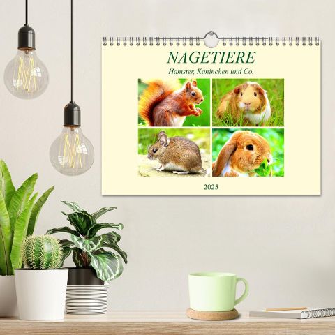 additionalImage1