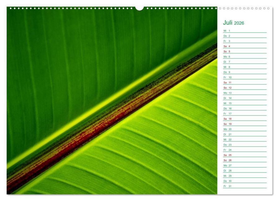 additionalImage12
