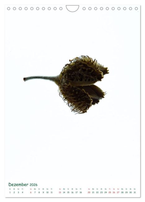 additionalImage4