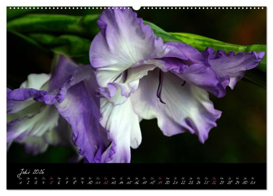 additionalImage11