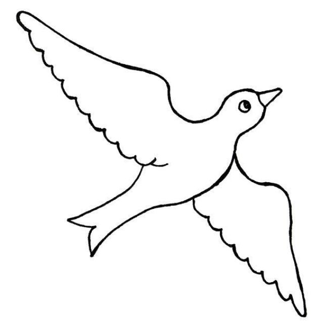 additionalImage10