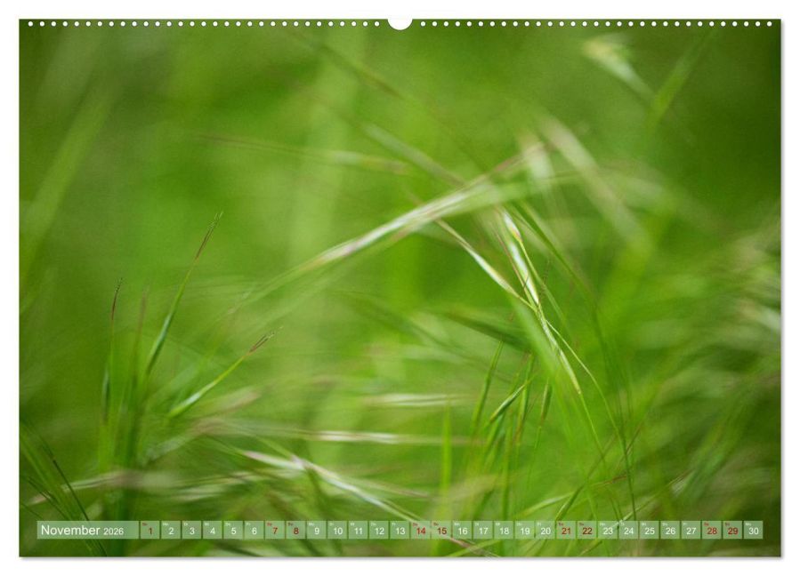 additionalImage2
