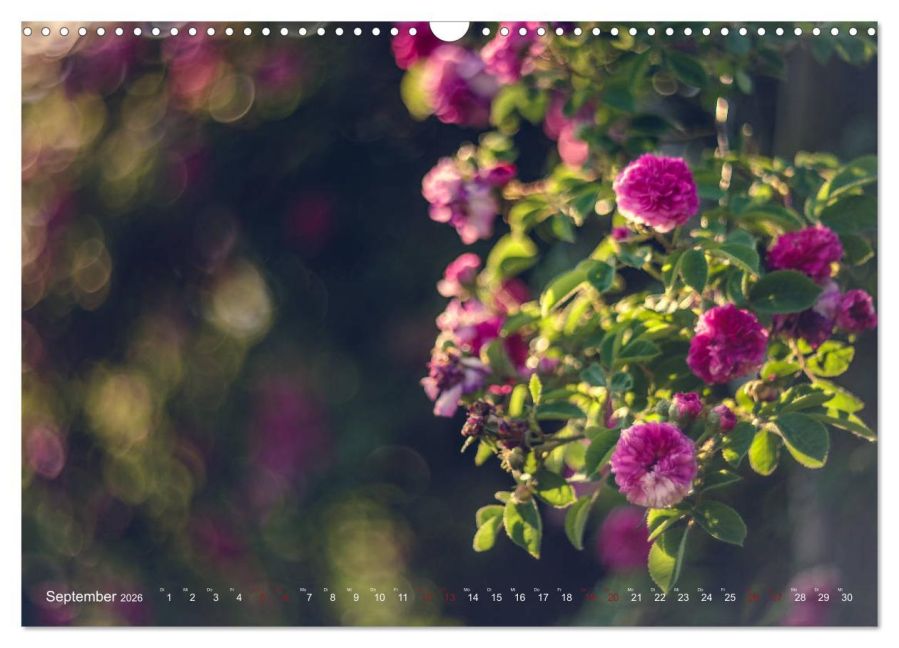 additionalImage14