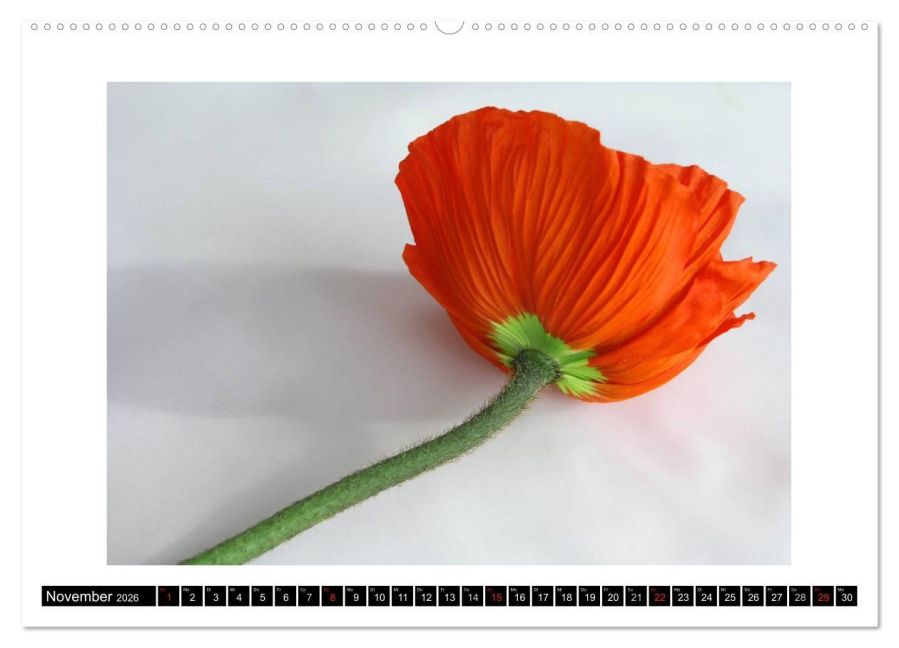 additionalImage3