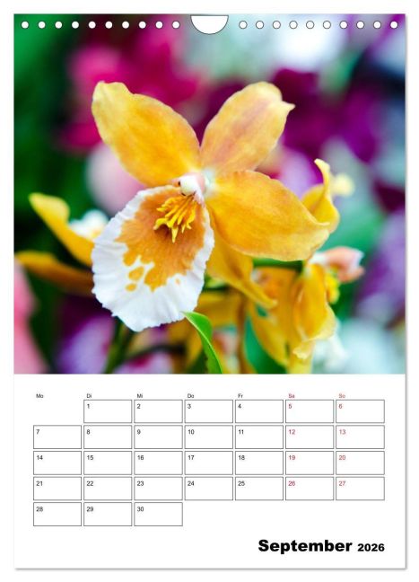 additionalImage14