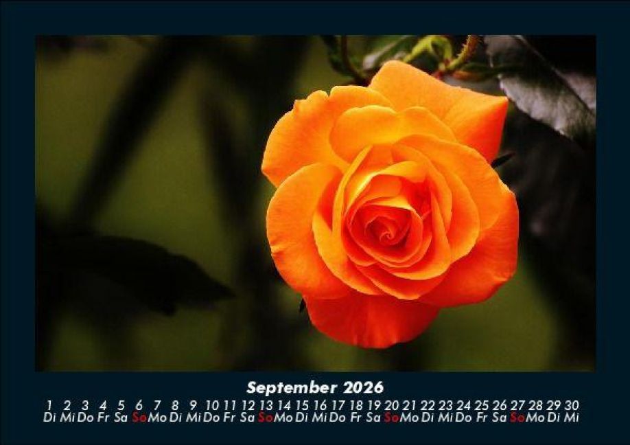 additionalImage1