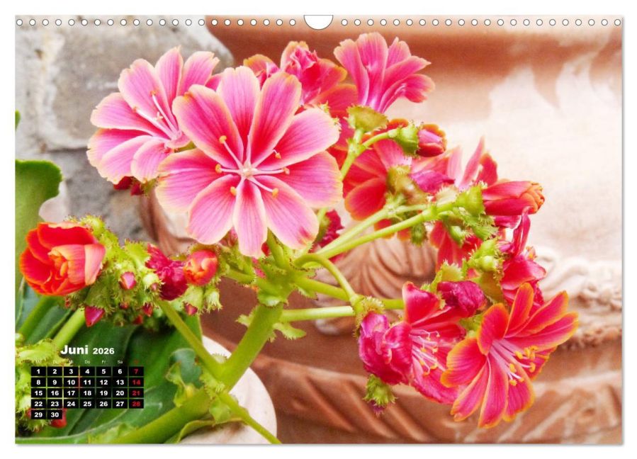 additionalImage11
