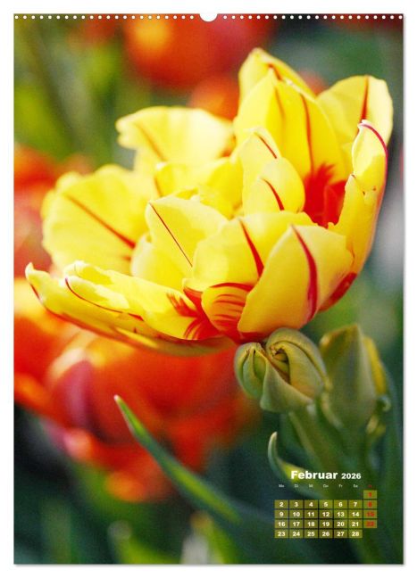 additionalImage6