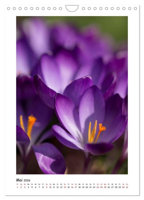 additionalImage10