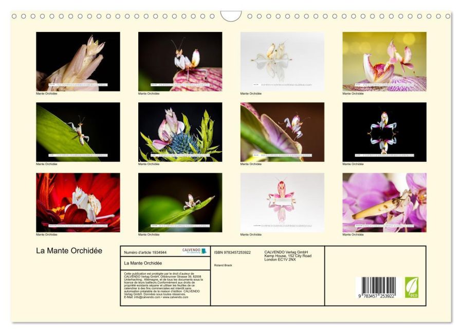 additionalImage5