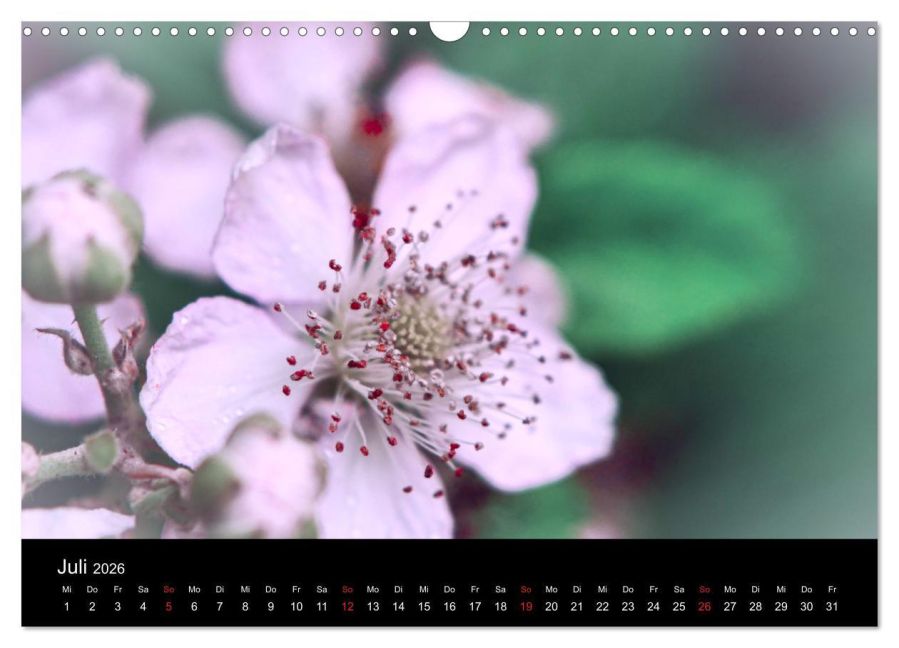 additionalImage12
