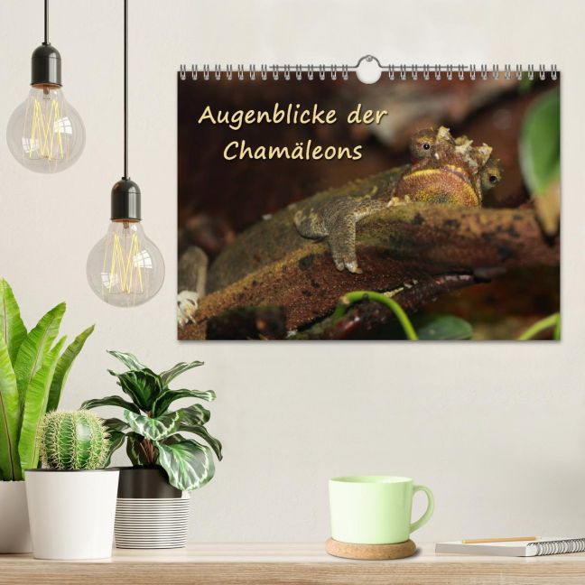 additionalImage1