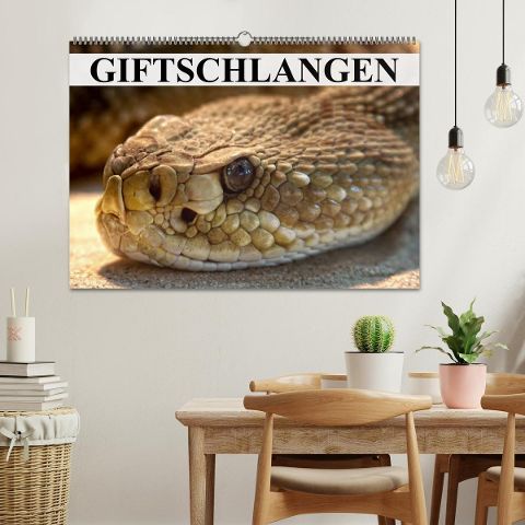 additionalImage1