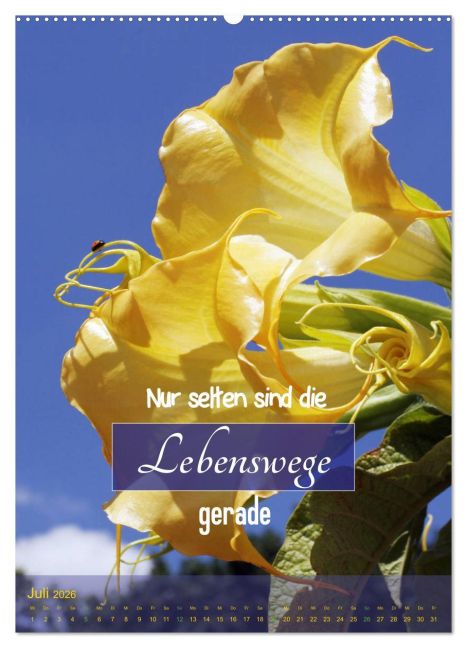 additionalImage11