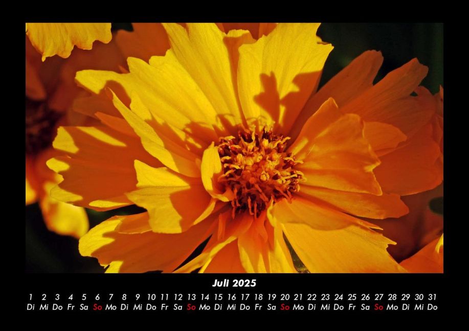 additionalImage11
