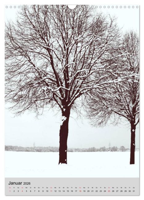 additionalImage6