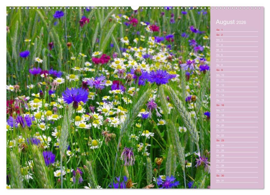 additionalImage12