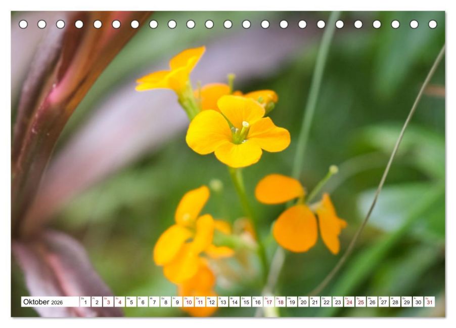 additionalImage2
