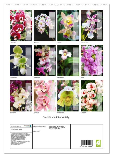 additionalImage4